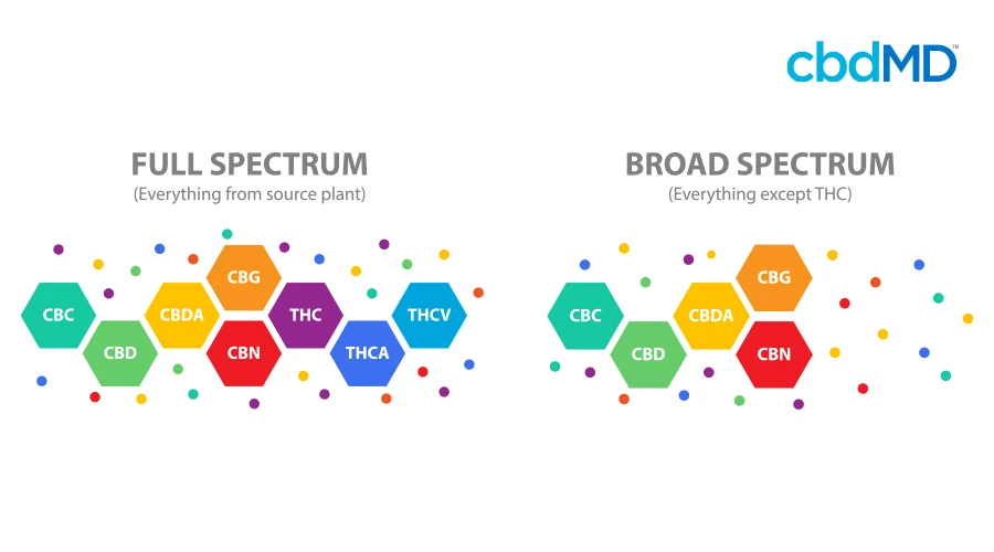 A colorful diagram demonstrates the difference between broad and full spectrum cbd