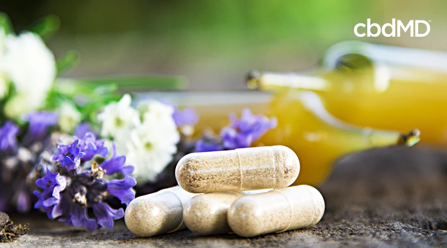 A small collection of vitamin supplements sits among natural ingredients such as flowers and oils