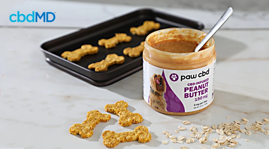 A jar of cbd peanut butter from cbdmd sits next to a tray of homemade dog treats