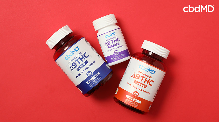 Hemp derived delta 9 thc gummies 10 mg blue razz next to hemp derived delta 9 thc 1 mg microdose and hemp derived delta 9 thc gummies 10 mg cherry - cbdMD