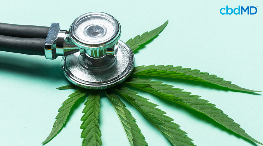A stethoscope with a marijuana leaf underneath it - cbdMD