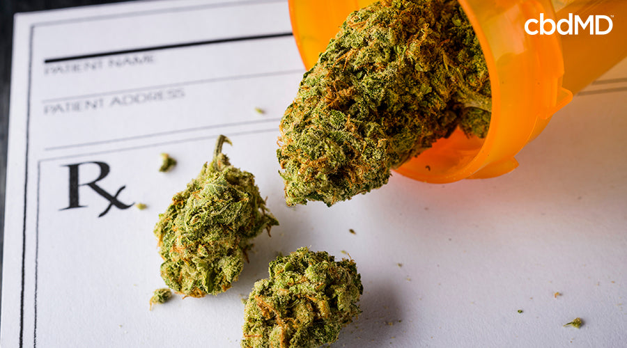 An rx slip with a bottle that contains cannabis flower that is poured out of the bottle- cbdMD