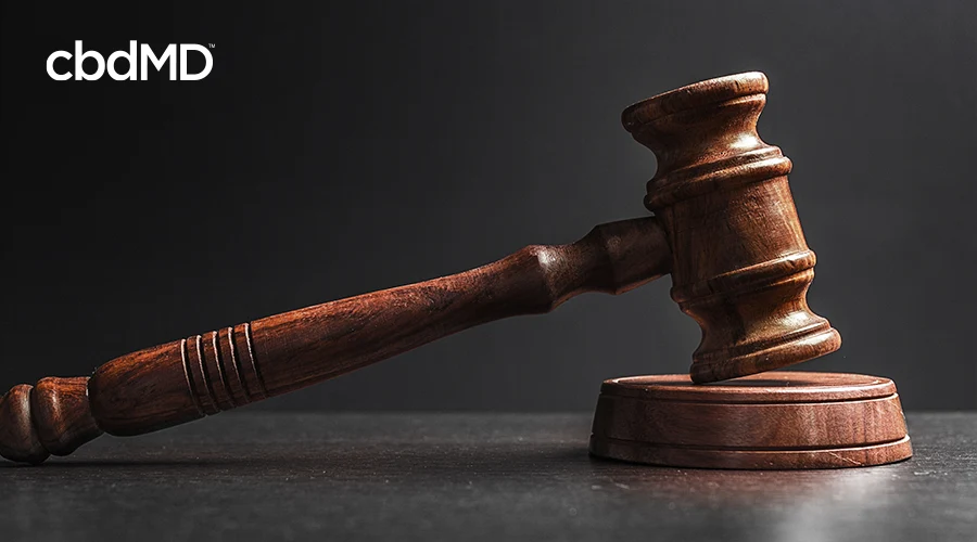 A gavel rests on the striker atop a judges desk