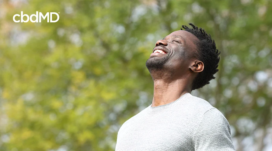 A dark skinned man looks up into the sunshine while wearing a grey tee shirt in the park