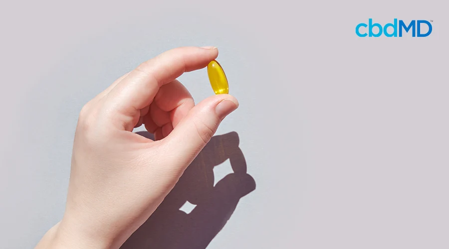 A hand holds up a cbd capsule against a grey background