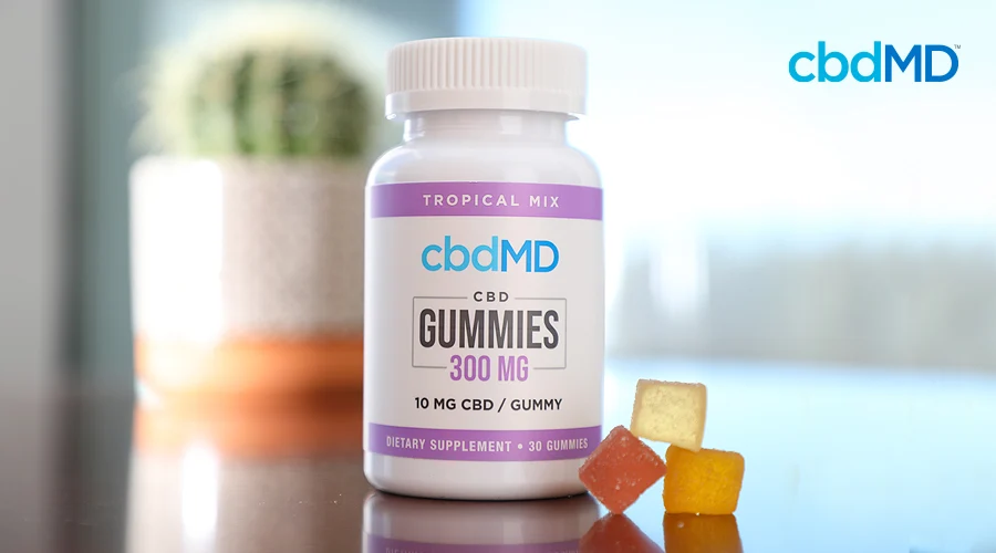 A bottle of cbd gummies from cbdmd sits on a counter