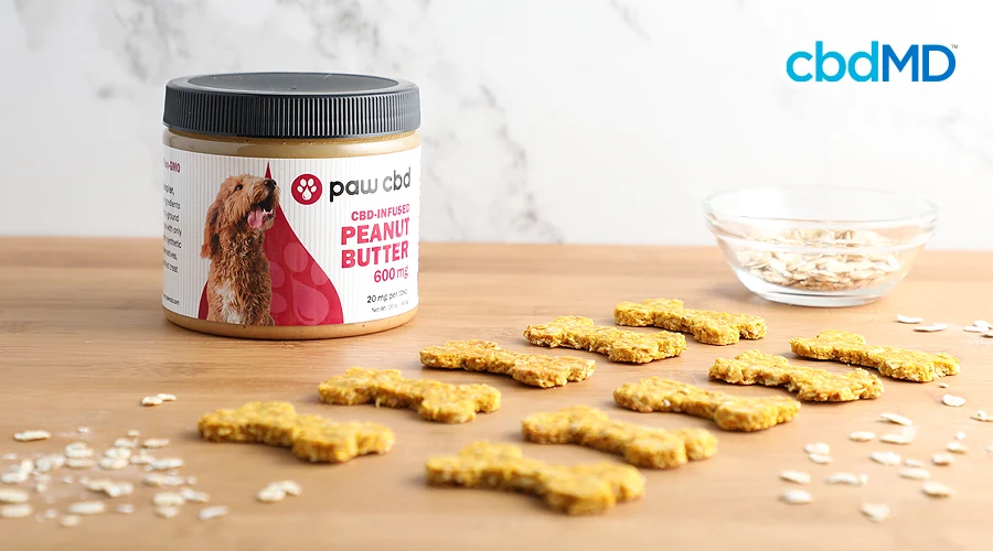 Homemade cbd dog treats sit on a counter next to cbd peanut butter from cbdmd