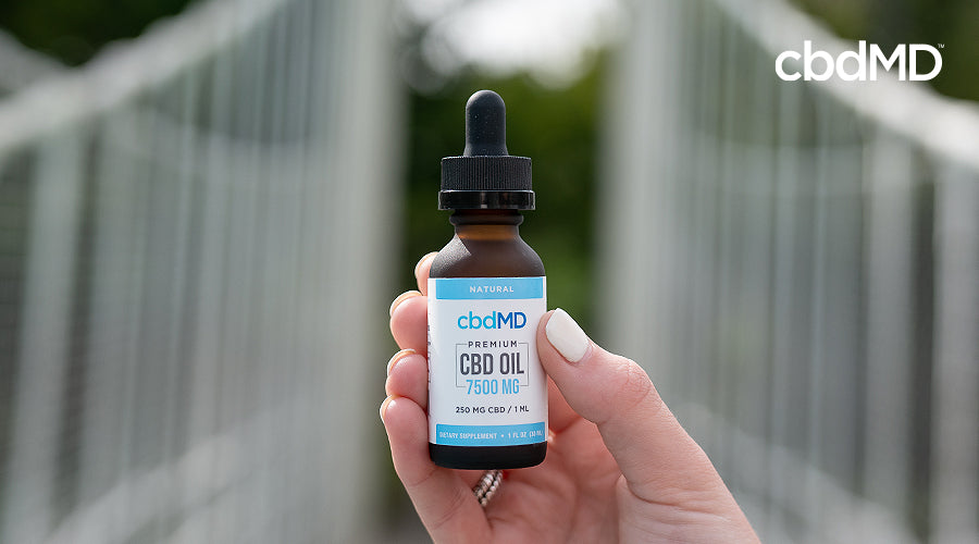 A woman's hand standing holds up a bottle of 7500 mg cbd oil tincture from cbdmd 