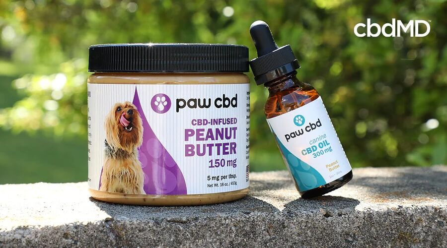 A pet cbd bundle from Paw CBD sits on a stone railing