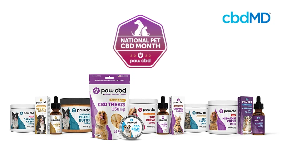 The entire line of Paw CBD products sits against a white background