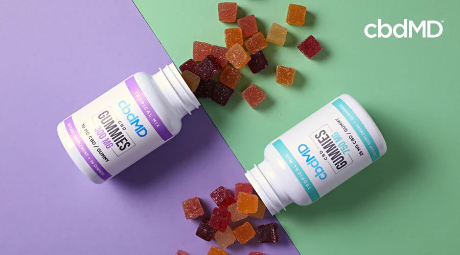Two bottles of cbd gummies lay in opposite directions with gummies spilling out