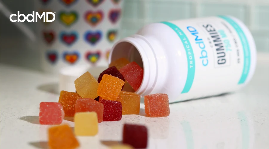 A bottle of cbd gummies lays on its side with many gummies spilling out