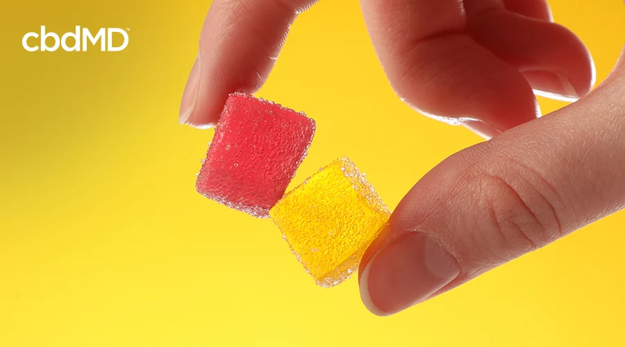 A woman's fingers squeeze two cbd gummy pieces between them