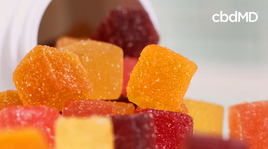 A large pile of cbd infused gummies from cbdmd sit all together