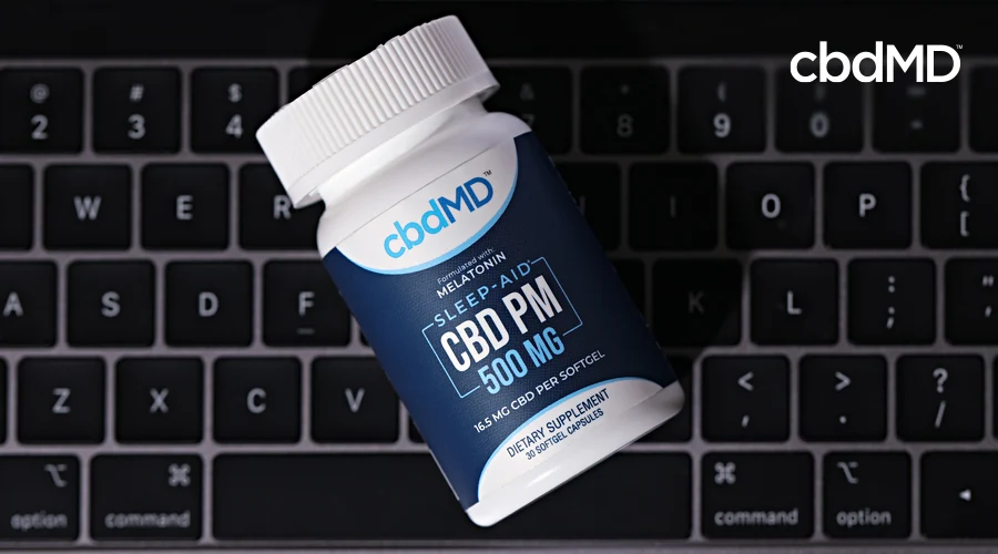 A bottle of 500 mg cbd pm softgel capsules from cbdmd lays on a keyboard