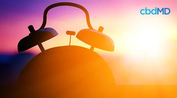 Silhouette of a classic alarm clock at sunrise with soft sunlight and colorful sky background.