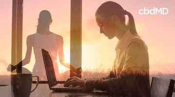 Woman working on laptop at sunrise, silhouette of person meditating, focus and wellness