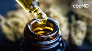 Dropper with CBD oil above amber bottle, blurred hemp flowers in background