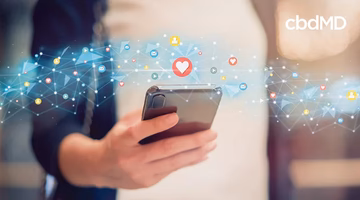 Person holding smartphone with floating social media icons and network connections