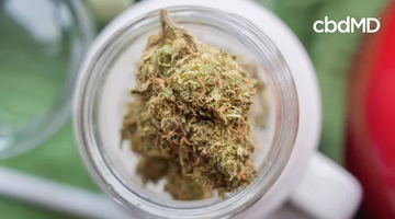 Close-up of a hemp flower bud in a glass jar, natural wellness product