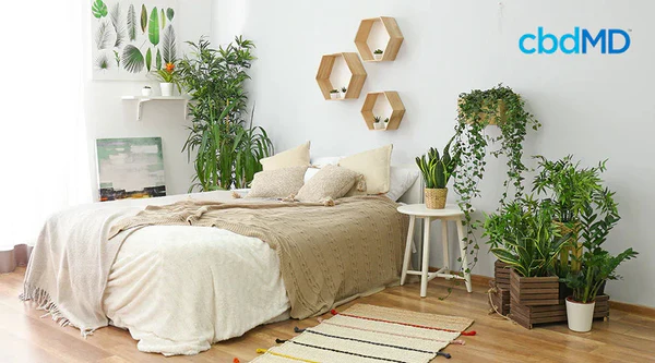 Bright bedroom with lush houseplants, cozy bed, and natural decor for relaxation and better sleep