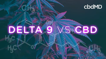 delta 9 vs cbd in neon over a backdrop of molecule structures