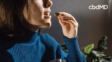 Woman taking a gummy supplement, holding it near mouth, in a cozy indoor setting.