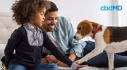 Child and adult smiling while playing with a beagle dog on a bed indoors, pet wellness concept.