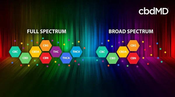 colorful representation of full spectrum vs broad spectrum hemp extract 