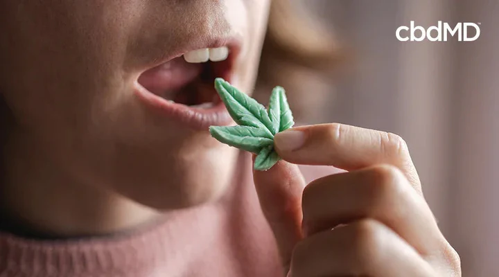 Person holding and about to eat a green gummy shaped like a cannabis leaf