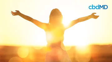 Silhouette of person in sunlight with arms raised, promoting wellness and natural health