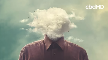 Man with cloud over head symbolizing brain fog, mental clarity concept, birds flying in sky