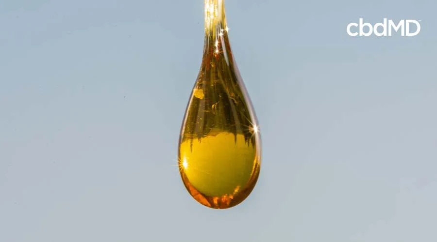 Golden drop of full spectrum CBD oil against a clear background with cbdMD text.