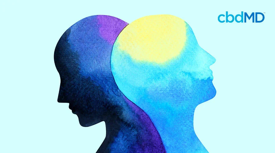 Watercolor illustration of two abstract human profiles with bright and dark hues, symbolizing mental wellness and mood balance.