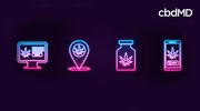 Neon icons of a computer, location pin, jar, and smartphone with hemp leaves on dark background.