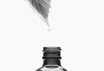 A hemp leaf with a drop of oil falling into a glass bottle, natural wellness concept.