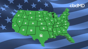 USA map with cannabis leaf icons on states, blue flag background, hemp legality illustration