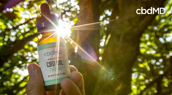 Hand holding CBD oil dropper bottle outdoors with sunlight shining through trees