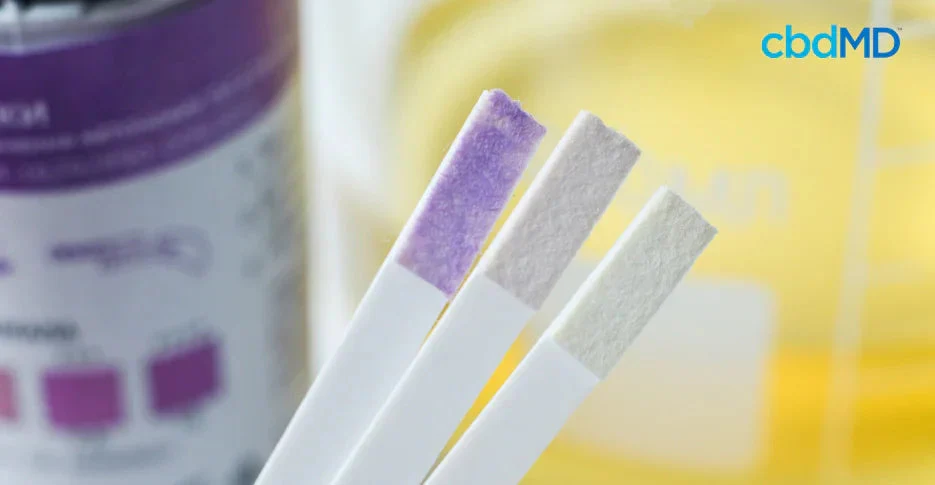 close up of three test strips with two gray tips and one purple against a yellow background