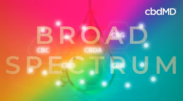 Broad spectrum CBD oil concept with colorful gradient background, drop shape, and cannabinoid names.