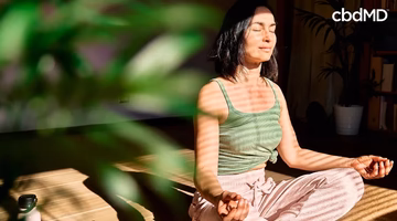 Calm woman meditating on yoga mat in sunny room surrounded by green plants, practicing mindfulness and self-care.