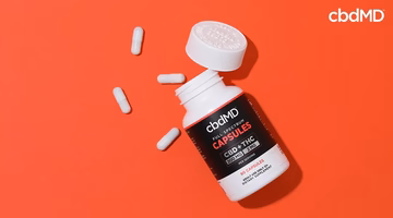 CBD capsules bottle with white capsules on red background, full spectrum formula