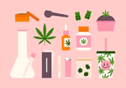 Illustration of various hemp and CBD products including edibles, oil, leaf, and accessories