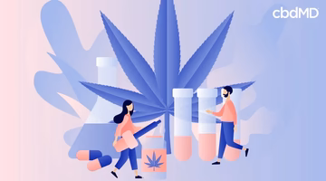 Illustration of CBD oil, capsules, lab equipment, and people with a large hemp leaf in background
