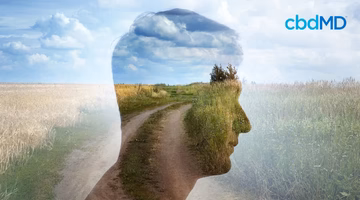 Silhouette of a man's head overlayed with a nature scene, symbolizing mindfulness and calm.