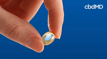 Hand holding a clear softgel capsule against a blue background with cbdMD logo.