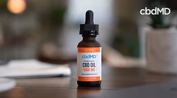 Dropper bottle labeled premium CBD oil 5000 mg on a table in a home setting