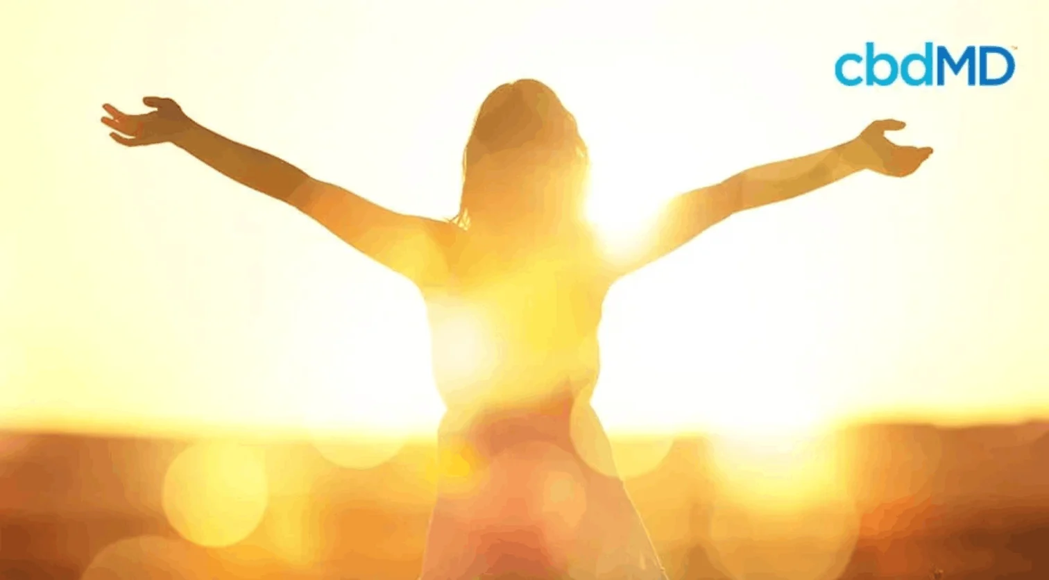 Silhouette of a woman with arms outstretched against a bright, glowing sunrise background.