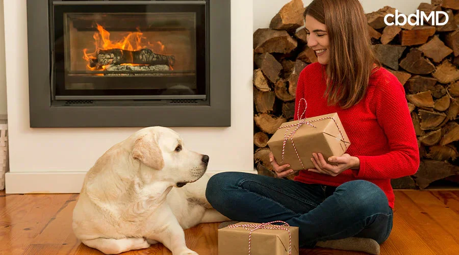 Woman in red sweater giving holiday gift to yellow Labrador by fireplace, cozy setting