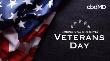 American flag with Veterans Day message honoring all who served, stars, and bold white text.